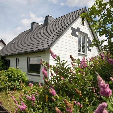 Ferienhaus Grenzweg Winterberg Ngoại thất bức ảnh